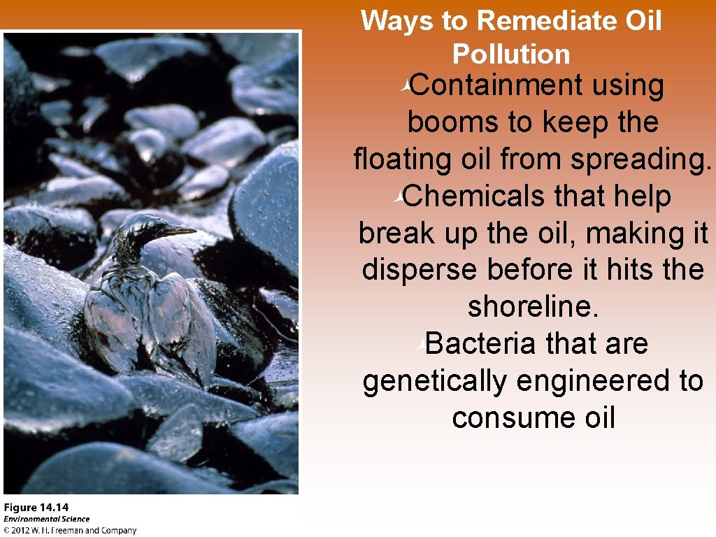Ways to Remediate Oil Pollution ©Containment using booms to keep the floating oil from