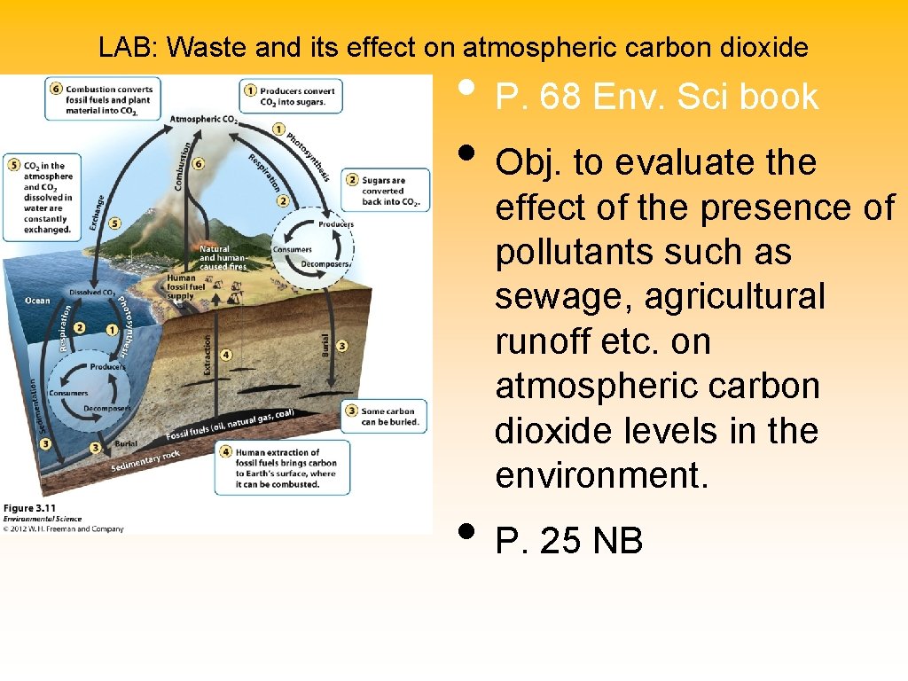 LAB: Waste and its effect on atmospheric carbon dioxide • P. 68 Env. Sci