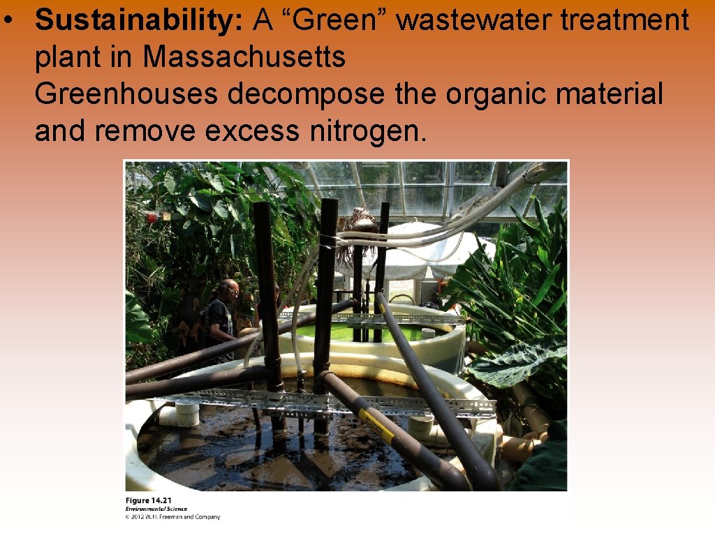  • Sustainability: A “Green” wastewater treatment plant in Massachusetts Greenhouses decompose the organic