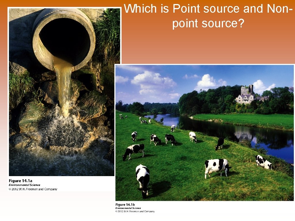 Which is Point source and Nonpoint source? 