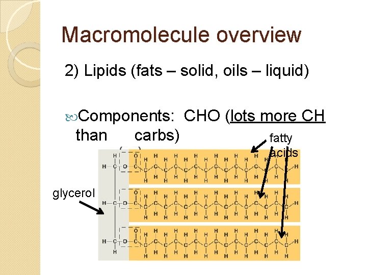 Macromolecule overview 2) Lipids (fats – solid, oils – liquid) Components: than glycerol carbs)