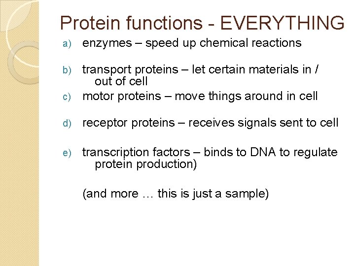 Protein functions - EVERYTHING a) enzymes – speed up chemical reactions transport proteins –
