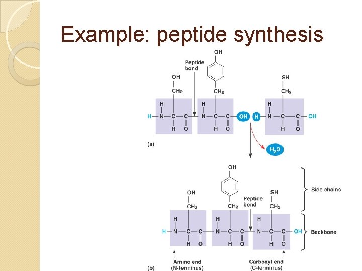 Example: peptide synthesis 