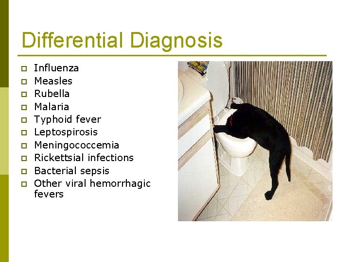 Differential Diagnosis p p p p p Influenza Measles Rubella Malaria Typhoid fever Leptospirosis