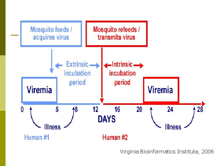 Virginia Bioinformatics Institute, 2006 