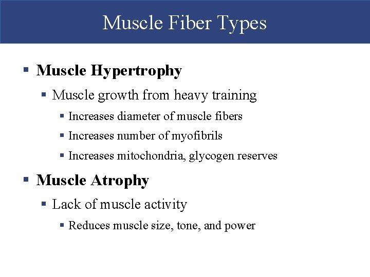 Muscle Fiber Types § Muscle Hypertrophy § Muscle growth from heavy training § Increases