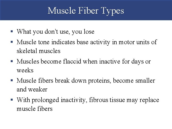 Muscle Fiber Types § What you don’t use, you lose § Muscle tone indicates