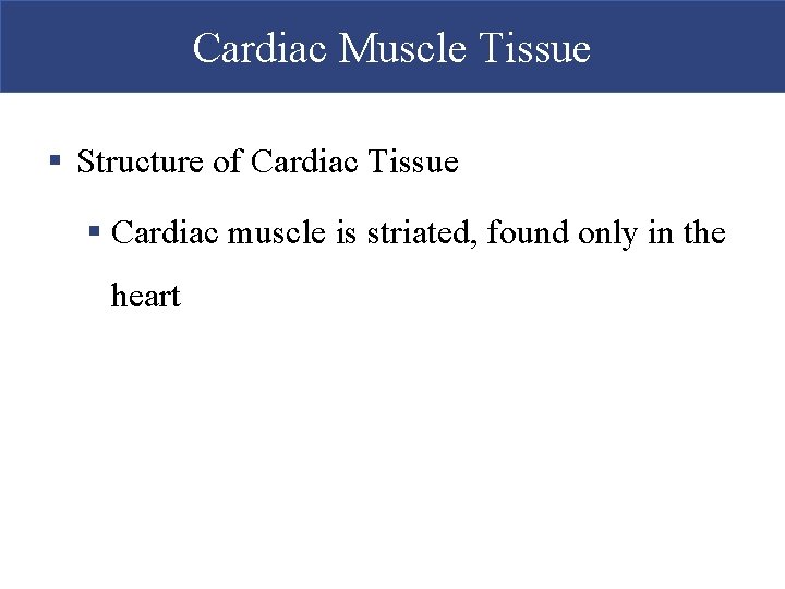 Cardiac Muscle Tissue § Structure of Cardiac Tissue § Cardiac muscle is striated, found