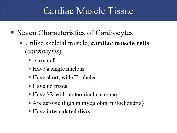Cardiac Muscle Tissue § Seven Characteristics of Cardiocytes § Unlike skeletal muscle, cardiac muscle