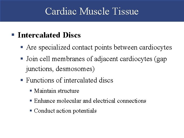 Cardiac Muscle Tissue § Intercalated Discs § Are specialized contact points between cardiocytes §