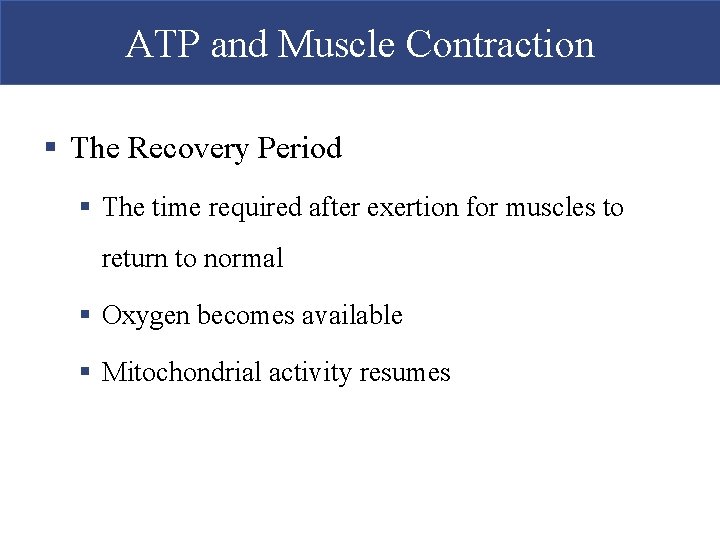 ATP and Muscle Contraction § The Recovery Period § The time required after exertion