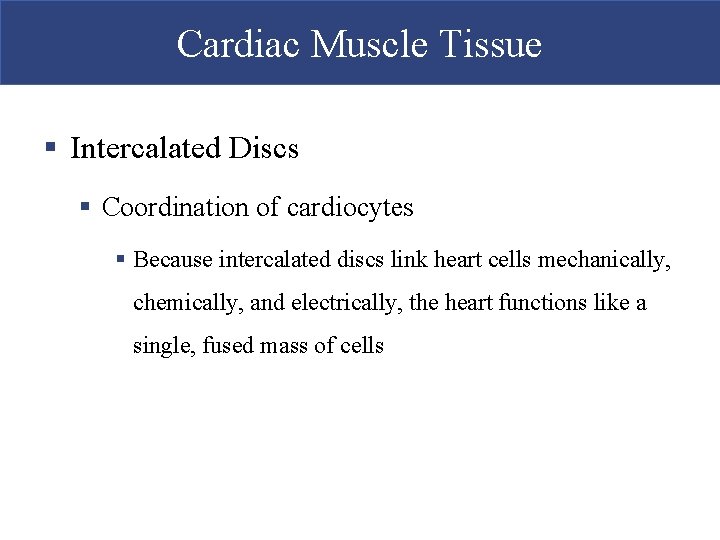 Cardiac Muscle Tissue § Intercalated Discs § Coordination of cardiocytes § Because intercalated discs