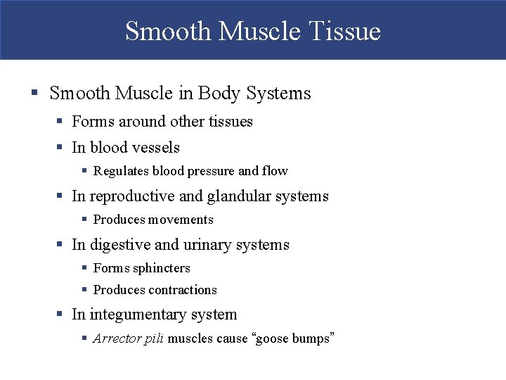 Smooth Muscle Tissue § Smooth Muscle in Body Systems § Forms around other tissues