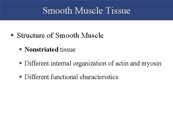 Smooth Muscle Tissue § Structure of Smooth Muscle § Nonstriated tissue § Different internal