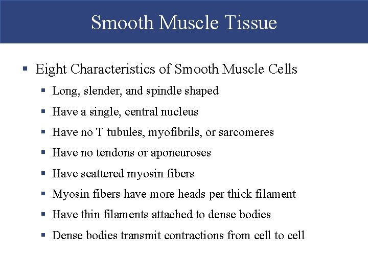 Smooth Muscle Tissue § Eight Characteristics of Smooth Muscle Cells § Long, slender, and