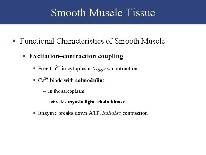 Smooth Muscle Tissue § Functional Characteristics of Smooth Muscle § Excitation–contraction coupling § Free