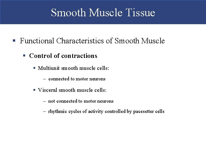 Smooth Muscle Tissue § Functional Characteristics of Smooth Muscle § Control of contractions §