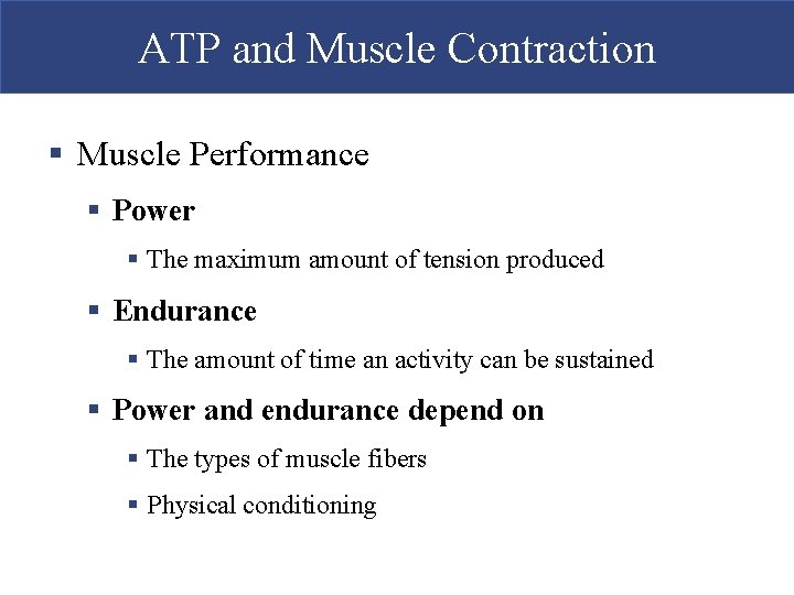 ATP and Muscle Contraction § Muscle Performance § Power § The maximum amount of