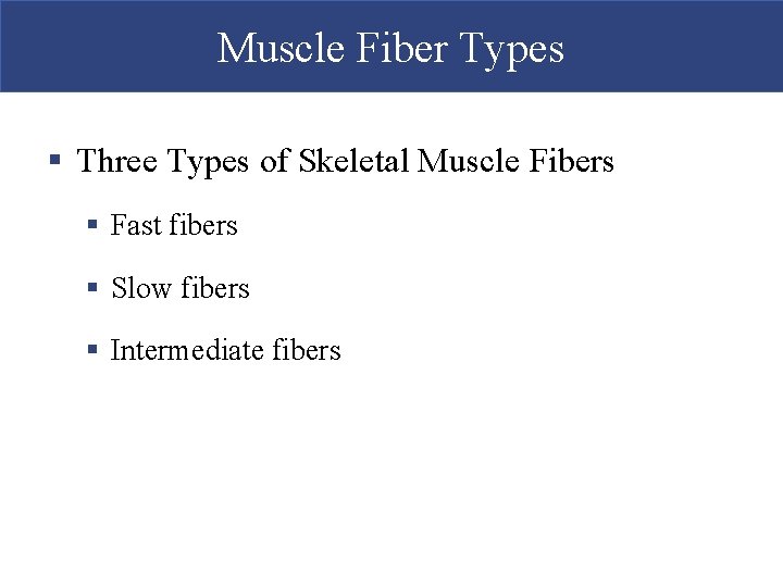 Muscle Fiber Types § Three Types of Skeletal Muscle Fibers § Fast fibers §