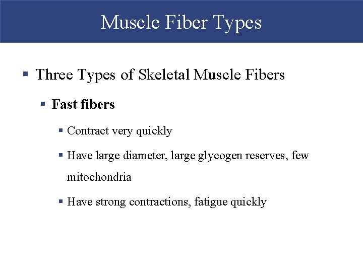 Muscle Fiber Types § Three Types of Skeletal Muscle Fibers § Fast fibers §