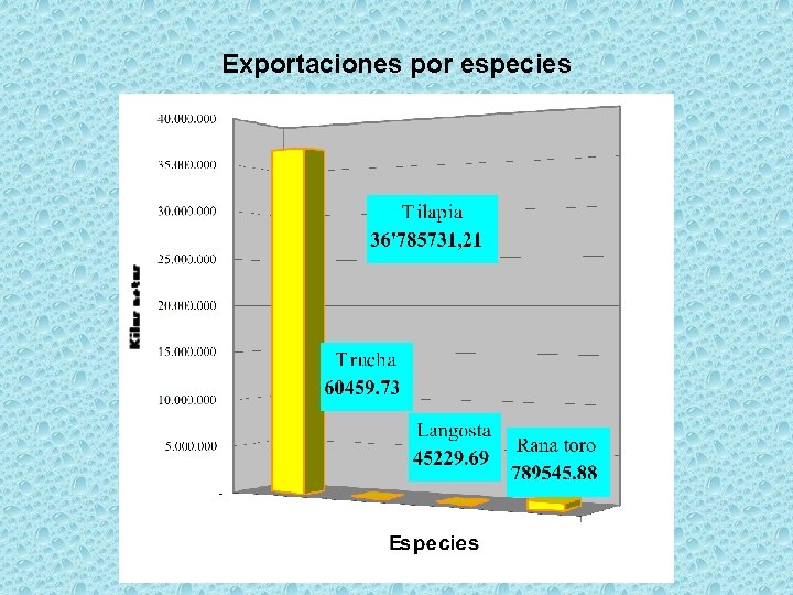 Exportaciones por especies 