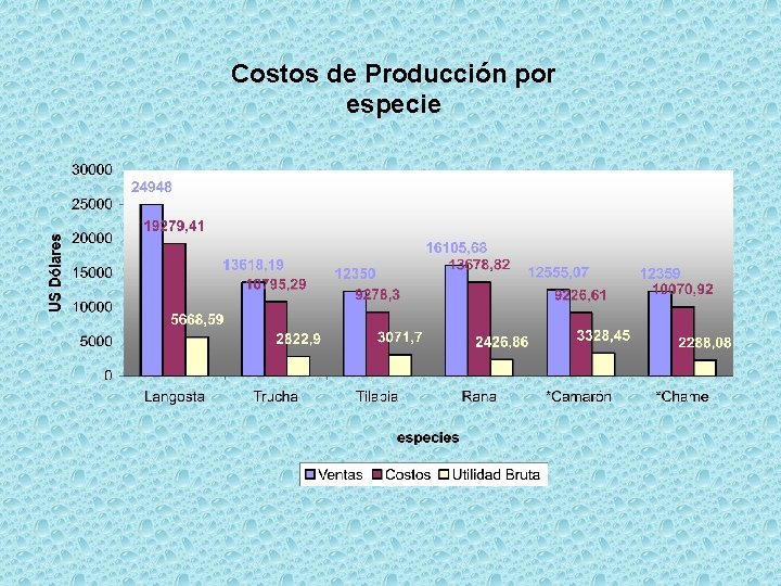 Costos de Producción por especie 