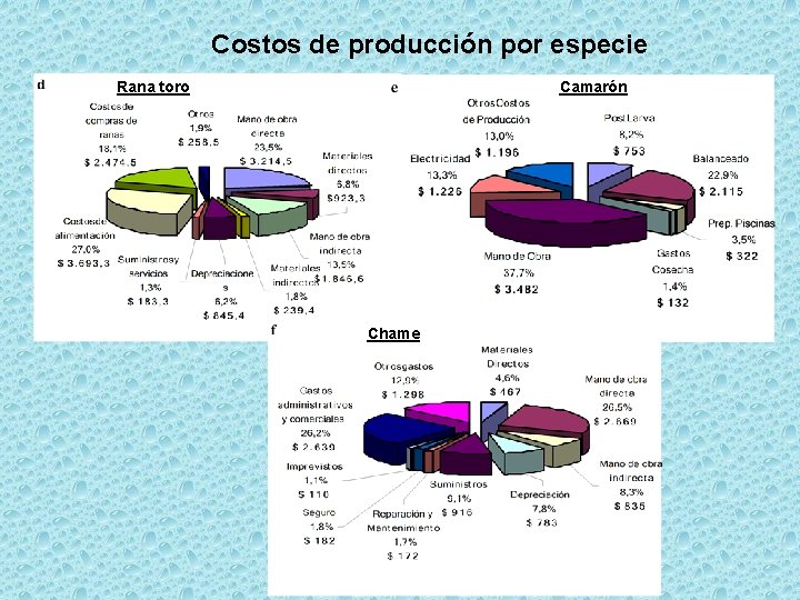 Costos de producción por especie Rana toro Camarón Chame 