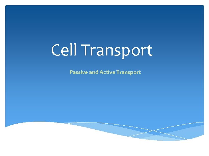 Cell Transport Passive and Active Transport 