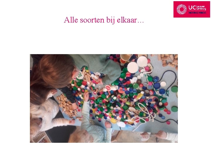 Alle soorten bij elkaar… 