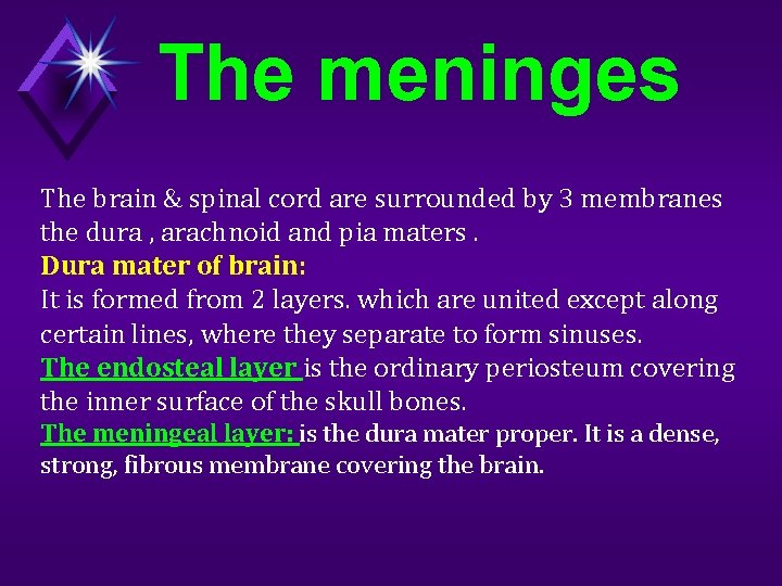 The meninges The brain & spinal cord are surrounded by 3 membranes the dura