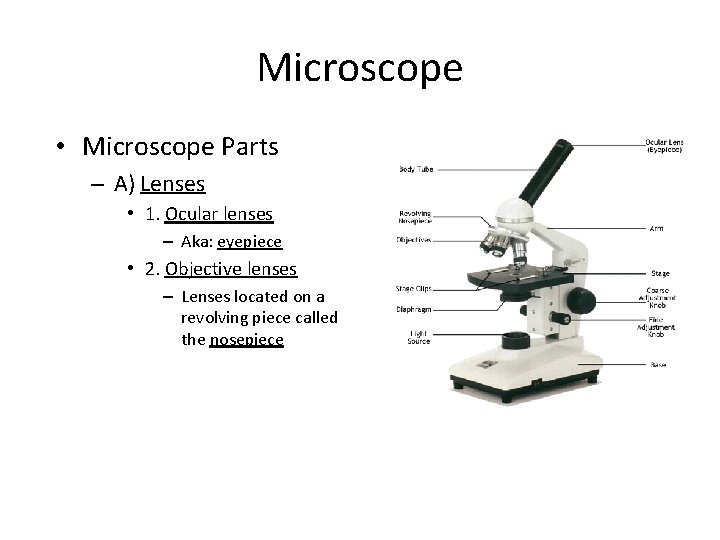 Microscope • Microscope Parts – A) Lenses • 1. Ocular lenses – Aka: eyepiece