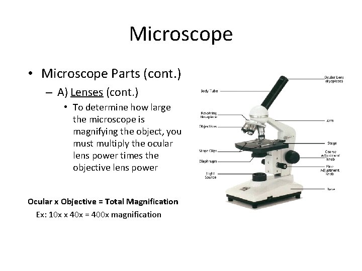 Microscope • Microscope Parts (cont. ) – A) Lenses (cont. ) • To determine