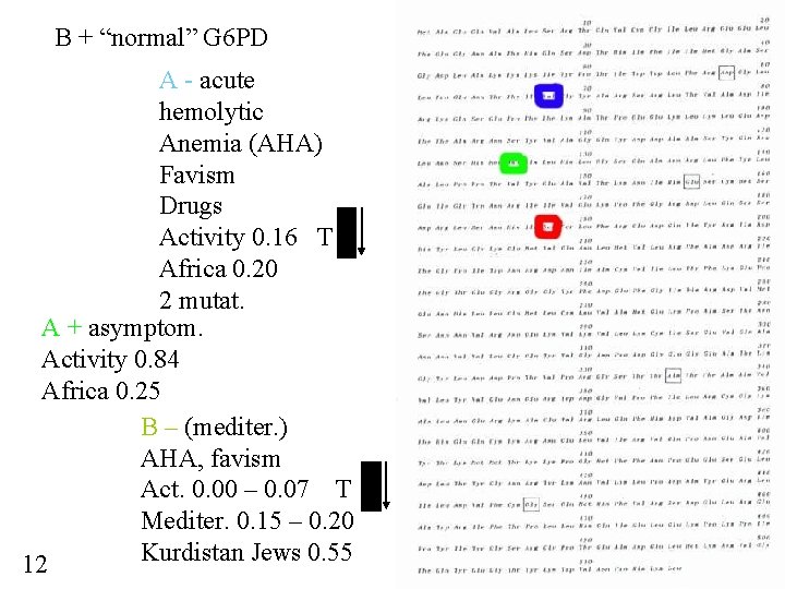 B + “normal” G 6 PD A - acute hemolytic Anemia (AHA) Favism Drugs