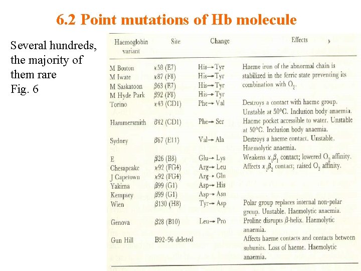 6. 2 Point mutations of Hb molecule Several hundreds, the majority of them rare