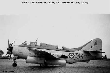 1955 – Maison-Blanche – Fairey A. S. 1 Gannet de la Royal Navy (Marcel