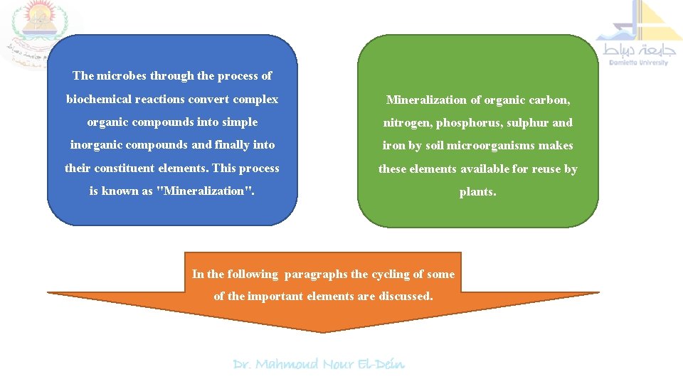 The microbes through the process of biochemical reactions convert complex Mineralization of organic carbon,