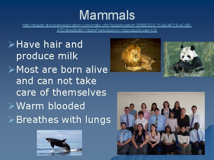 Mammals http: //player. discoveryeducation. com/index. cfm? guid. Asset. Id=239 BE 623 -7 C 44