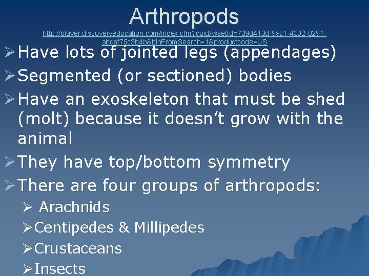 Arthropods http: //player. discoveryeducation. com/index. cfm? guid. Asset. Id=739 d 413 d-9 ac 1