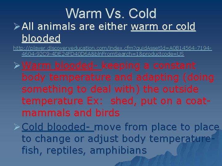 Warm Vs. Cold Ø All animals are either warm or cold blooded http: //player.