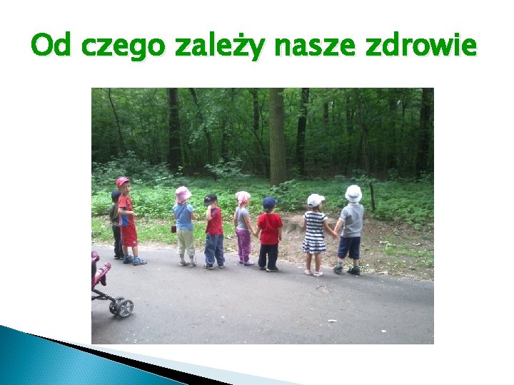 Od czego zależy nasze zdrowie 