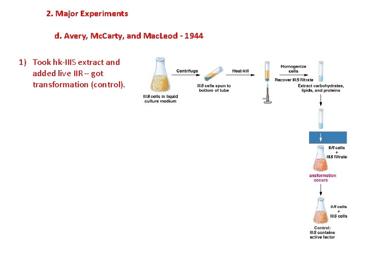 2. Major Experiments d. Avery, Mc. Carty, and Mac. Leod - 1944 1) Took