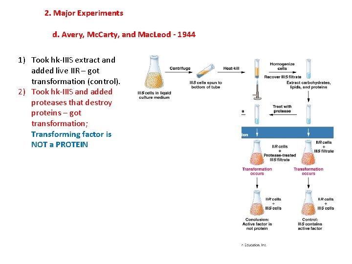 2. Major Experiments d. Avery, Mc. Carty, and Mac. Leod - 1944 1) Took