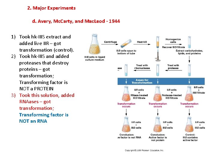2. Major Experiments d. Avery, Mc. Carty, and Mac. Leod - 1944 1) Took