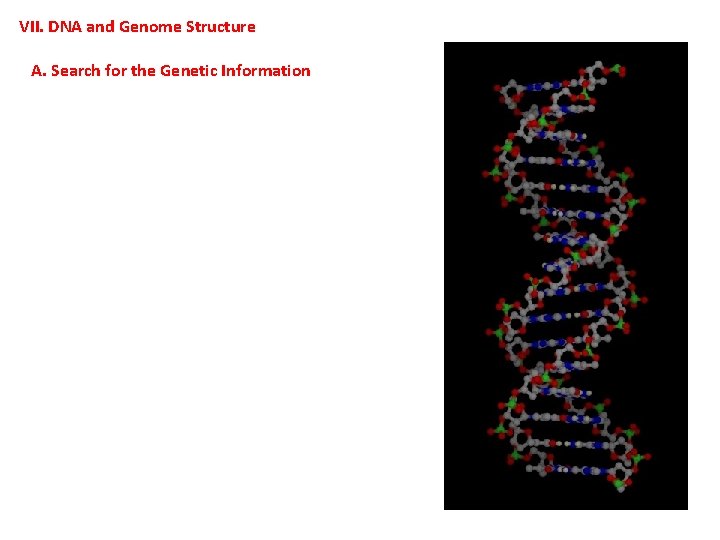 VII. DNA and Genome Structure A. Search for the Genetic Information 