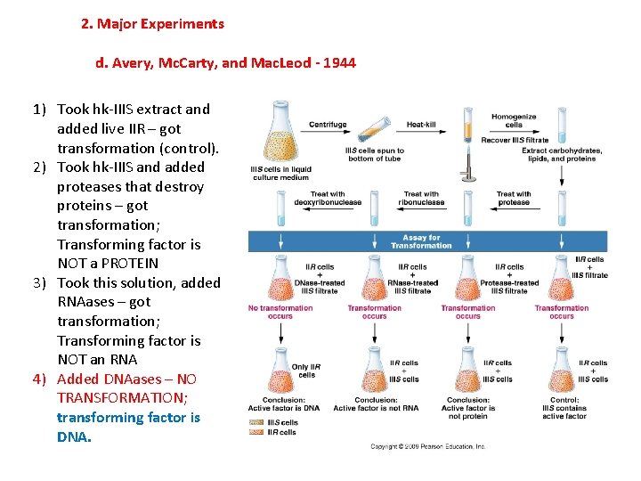 2. Major Experiments d. Avery, Mc. Carty, and Mac. Leod - 1944 1) Took