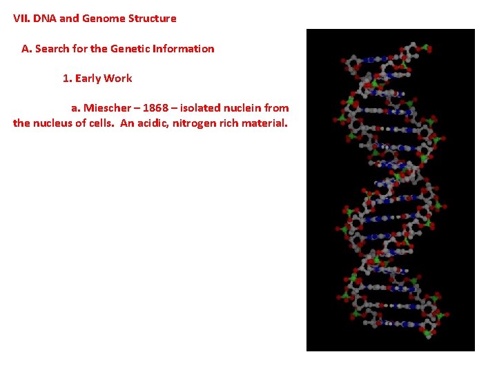 VII. DNA and Genome Structure A. Search for the Genetic Information 1. Early Work