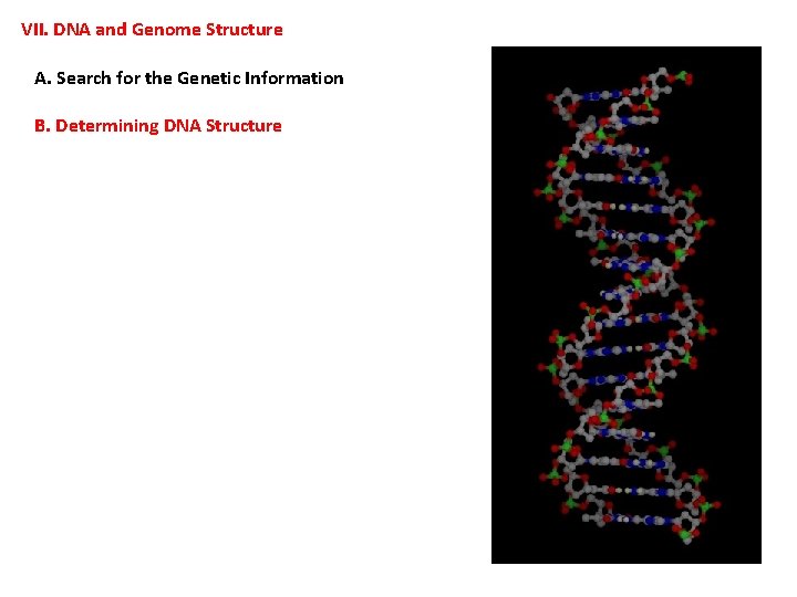 VII. DNA and Genome Structure A. Search for the Genetic Information B. Determining DNA