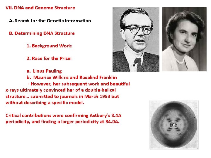 VII. DNA and Genome Structure A. Search for the Genetic Information B. Determining DNA