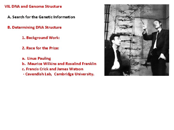 VII. DNA and Genome Structure A. Search for the Genetic Information B. Determining DNA