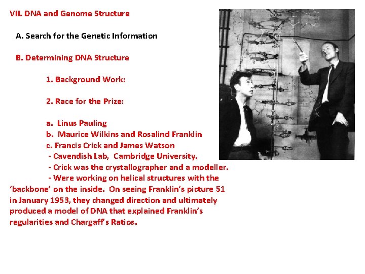 VII. DNA and Genome Structure A. Search for the Genetic Information B. Determining DNA